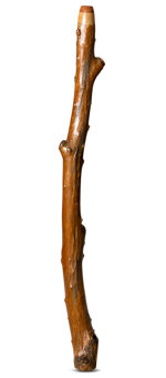 Brad Hagelstein Didgeridoo (BH059)